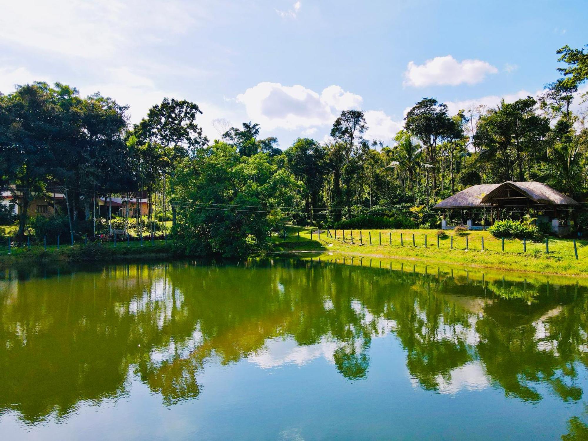 Homestay The Windchimes Retreat Coorg *