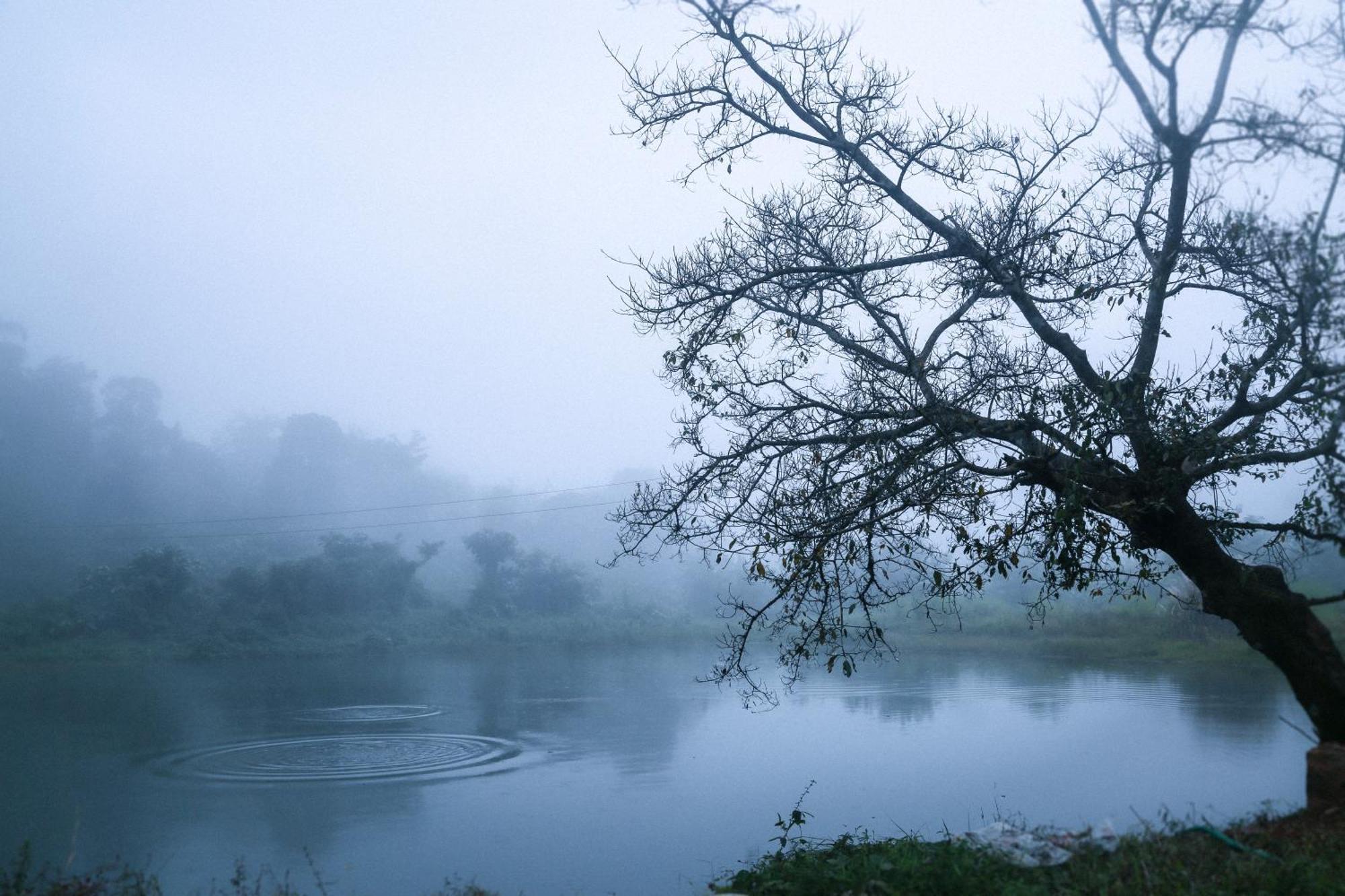 The Windchimes Retreat Coorg