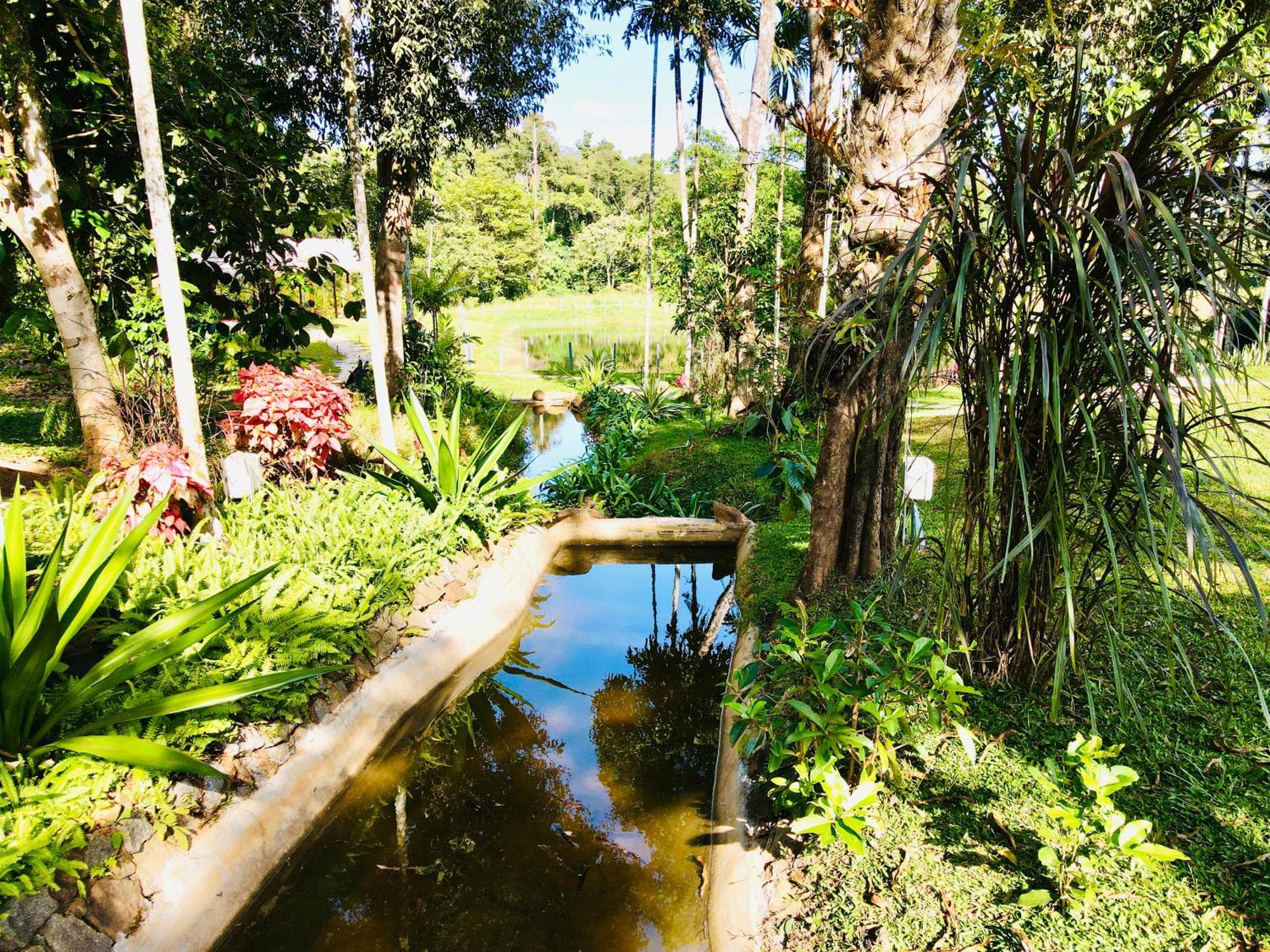 The Windchimes Retreat Coorg Homestay Virajpet